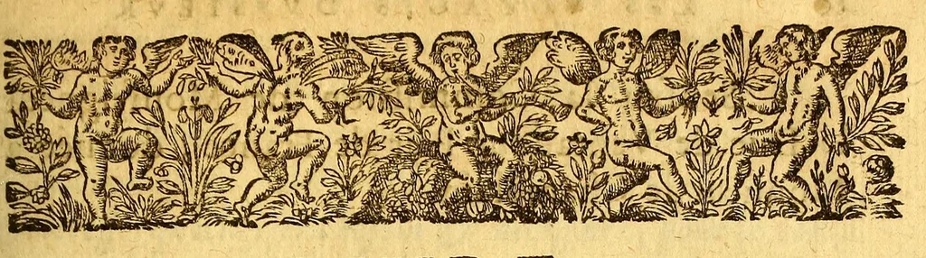 An illustration from Les voyages de la Nouuelle France occidentale, dicte Canada, faits par le sr de Champlain Xainctongeois, capitaine pour le roy en la marine du Ponant, & toutes les descouuertes qu'il a faites en ce païs depuis l'an 1603. iusques en l'an 1629. ... auec vn traitté des qualitez & conditions requises à vn bon & parfaict nauigateur pour cognoistre la diuersité des estimes qui se font en la nauigation ... ensemble vne carte generalle de la description dudit pays faicte en son meridien selon la declinaison de la guide aymant, & vn catechisme ou instruction traduicte du françois au langage des peuples sauuages de quelque contrée, auec ce qui s'est passé en ladite Nouuelle France en l'année 1631, 1632, leaf 409