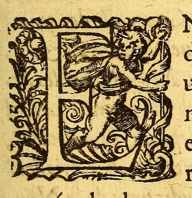An illustration from Les voyages de la Nouuelle France occidentale, dicte Canada, faits par le sr de Champlain Xainctongeois, capitaine pour le roy en la marine du Ponant, & toutes les descouuertes qu'il a faites en ce païs depuis l'an 1603. iusques en l'an 1629. ... auec vn traitté des qualitez & conditions requises à vn bon & parfaict nauigateur pour cognoistre la diuersité des estimes qui se font en la nauigation ... ensemble vne carte generalle de la description dudit pays faicte en son meridien selon la declinaison de la guide aymant, & vn catechisme ou instruction traduicte du françois au langage des peuples sauuages de quelque contrée, auec ce qui s'est passé en ladite Nouuelle France en l'année 1631, 1632, leaf 409