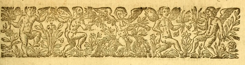 An illustration from Les voyages de la Nouuelle France occidentale, dicte Canada, faits par le sr de Champlain Xainctongeois, capitaine pour le roy en la marine du Ponant, & toutes les descouuertes qu'il a faites en ce païs depuis l'an 1603. iusques en l'an 1629. ... auec vn traitté des qualitez & conditions requises à vn bon & parfaict nauigateur pour cognoistre la diuersité des estimes qui se font en la nauigation ... ensemble vne carte generalle de la description dudit pays faicte en son meridien selon la declinaison de la guide aymant, & vn catechisme ou instruction traduicte du françois au langage des peuples sauuages de quelque contrée, auec ce qui s'est passé en ladite Nouuelle France en l'année 1631, 1632, leaf 515