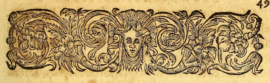 An illustration from Les voyages de la Nouuelle France occidentale, dicte Canada, faits par le sr de Champlain Xainctongeois, capitaine pour le roy en la marine du Ponant, & toutes les descouuertes qu'il a faites en ce païs depuis l'an 1603. iusques en l'an 1629. ... auec vn traitté des qualitez & conditions requises à vn bon & parfaict nauigateur pour cognoistre la diuersité des estimes qui se font en la nauigation ... ensemble vne carte generalle de la description dudit pays faicte en son meridien selon la declinaison de la guide aymant, & vn catechisme ou instruction traduicte du françois au langage des peuples sauuages de quelque contrée, auec ce qui s'est passé en ladite Nouuelle France en l'année 1631, 1632, leaf 71