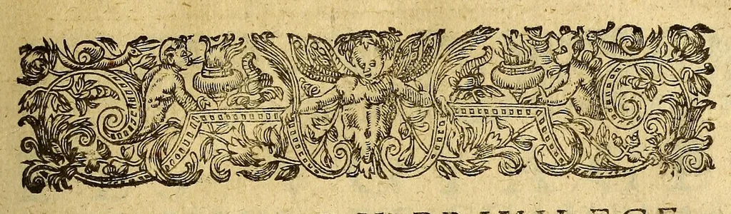An illustration from Les voyages du sieur de Champlain Xaintongeois, capitaine ordinaire pour le roy, en la marine. : diuisez en deux liures. ou, iournal tres-fidele des obseruations faites és descouuertures de la Nouuelle France ... ensemble deux cartes geografiques ... à laquelle est adiousté le voyage du destroict qu'ont trouué les Anglois, au dessus de Labrador ... en l'an 1612. cerchans vn chemin par le Nord, pour aller à la Chine, 1613, leaf 25