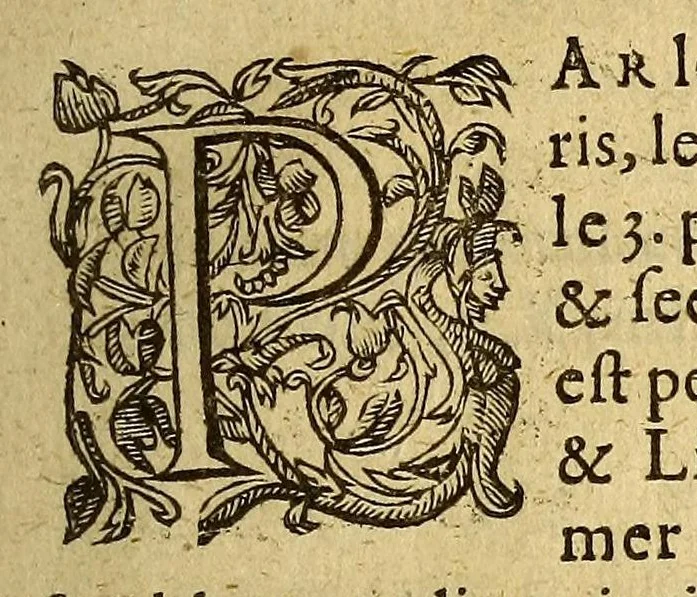 An illustration from Les voyages du sieur de Champlain Xaintongeois, capitaine ordinaire pour le roy, en la marine. : diuisez en deux liures. ou, iournal tres-fidele des obseruations faites és descouuertures de la Nouuelle France ... ensemble deux cartes geografiques ... à laquelle est adiousté le voyage du destroict qu'ont trouué les Anglois, au dessus de Labrador ... en l'an 1612. cerchans vn chemin par le Nord, pour aller à la Chine, 1613, leaf 25