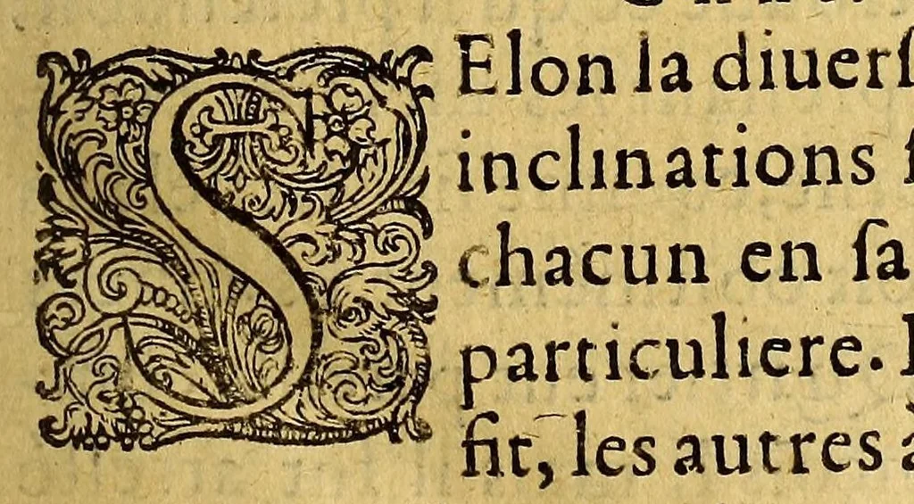 An illustration from Les voyages du sieur de Champlain Xaintongeois, capitaine ordinaire pour le roy, en la marine. : diuisez en deux liures. ou, iournal tres-fidele des obseruations faites és descouuertures de la Nouuelle France ... ensemble deux cartes geografiques ... à laquelle est adiousté le voyage du destroict qu'ont trouué les Anglois, au dessus de Labrador ... en l'an 1612. cerchans vn chemin par le Nord, pour aller à la Chine, 1613, leaf 27