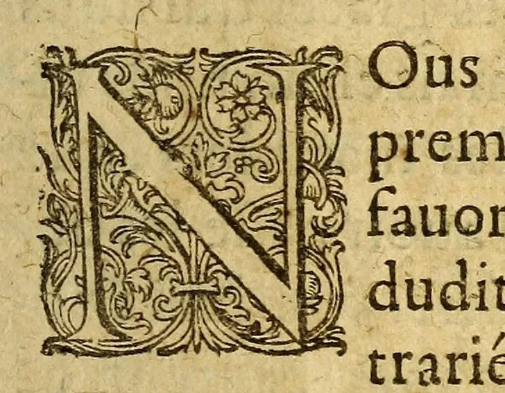 An illustration from Les voyages du sieur de Champlain Xaintongeois, capitaine ordinaire pour le roy, en la marine. : diuisez en deux liures. ou, iournal tres-fidele des obseruations faites és descouuertures de la Nouuelle France ... ensemble deux cartes geografiques ... à laquelle est adiousté le voyage du destroict qu'ont trouué les Anglois, au dessus de Labrador ... en l'an 1612. cerchans vn chemin par le Nord, pour aller à la Chine, 1613, leaf 317