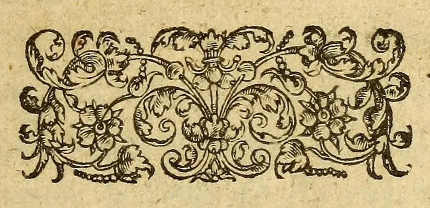An illustration from Les voyages du sieur de Champlain Xaintongeois, capitaine ordinaire pour le roy, en la marine. : diuisez en deux liures. ou, iournal tres-fidele des obseruations faites és descouuertures de la Nouuelle France ... ensemble deux cartes geografiques ... à laquelle est adiousté le voyage du destroict qu'ont trouué les Anglois, au dessus de Labrador ... en l'an 1612. cerchans vn chemin par le Nord, pour aller à la Chine, 1613, leaf 7
