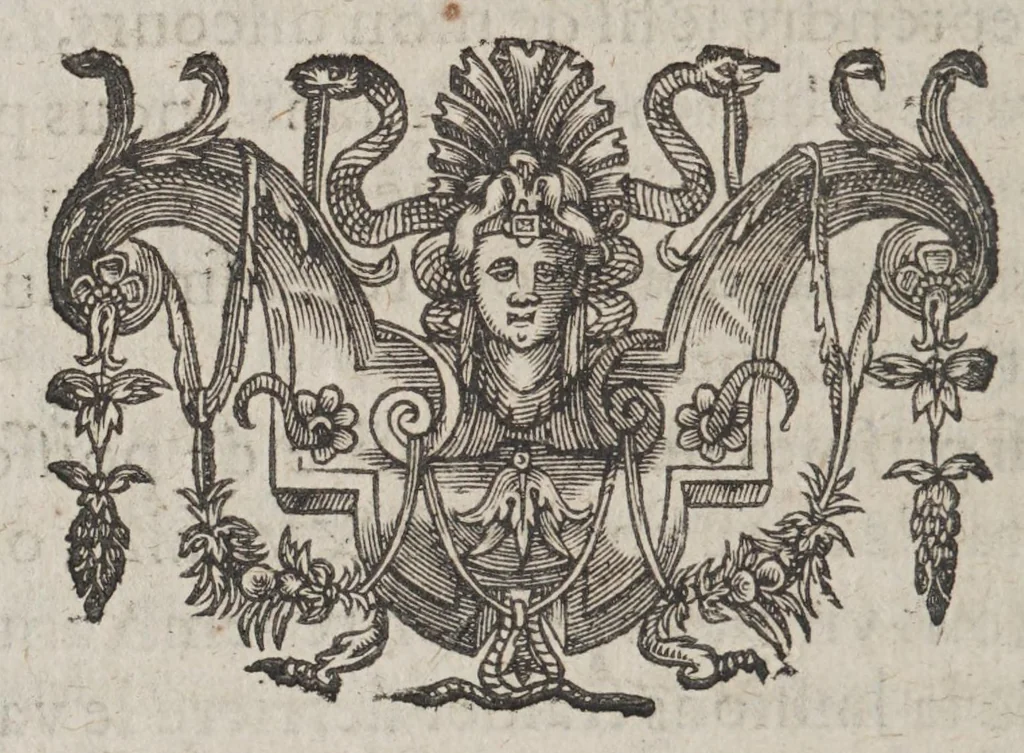 An illustration from Les voyages du sieur de Champlain Xaintongeois, capitaine ordinaire pour le roy, en la marine : divisez en deux livres ; ou, journal tres-fidele des observations faites és descouvertures de la Nouvelle France ... ensemble deux cartes geografiques .., 1613, leaf 312