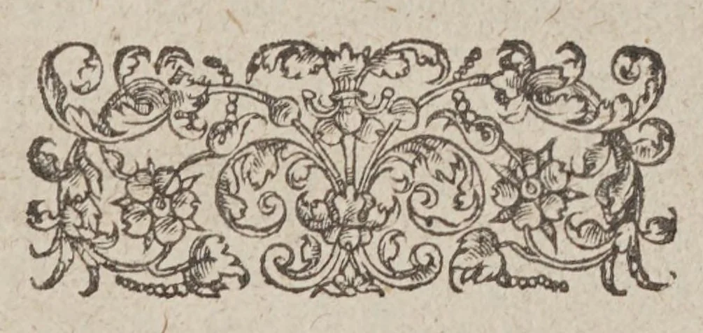 An illustration from Les voyages du sieur de Champlain Xaintongeois, capitaine ordinaire pour le roy, en la marine : divisez en deux livres ; ou, journal tres-fidele des observations faites és descouvertures de la Nouvelle France ... ensemble deux cartes geografiques .., 1613, leaf 5