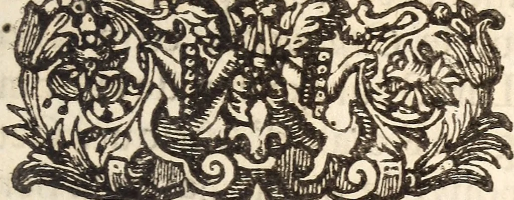 An illustration from Les voyages du sieur Le Maire aux iles Canaries, Cap-Verd, Senegal, et Gambie, 1695, leaf 10