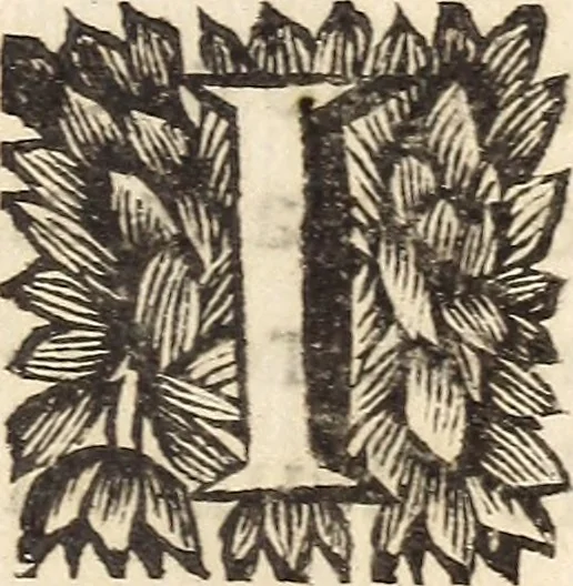 An illustration from Les voyages du sieur Le Maire aux iles Canaries, Cap-Verd, Senegal, et Gambie, 1695, leaf 10