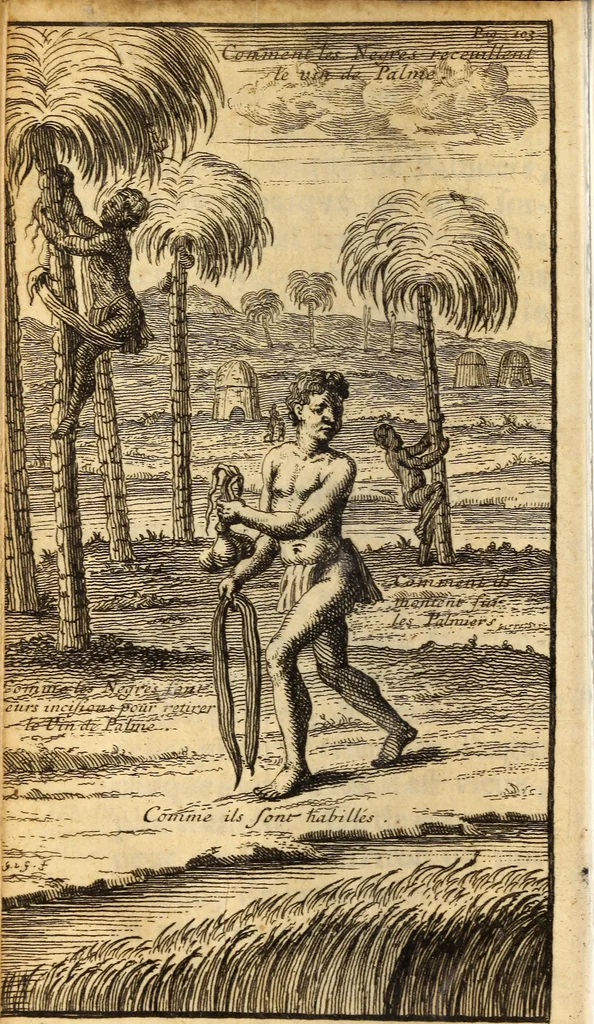 An illustration from Les voyages du sieur Le Maire aux iles Canaries, Cap-Verd, Senegal, et Gambie, 1695, leaf 107