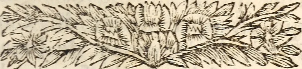 An illustration from Les voyages du sieur Le Maire aux iles Canaries, Cap-Verd, Senegal, et Gambie, 1695, leaf 198