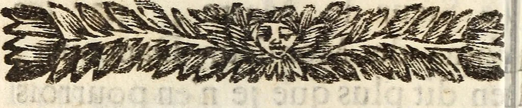An illustration from Les voyages du sieur Le Maire aux iles Canaries, Cap-Verd, Senegal, et Gambie, 1695, leaf 223