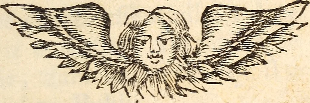 An illustration from Les voyages du sieur Le Maire aux iles Canaries, Cap-Verd, Senegal, et Gambie, 1695, leaf 4