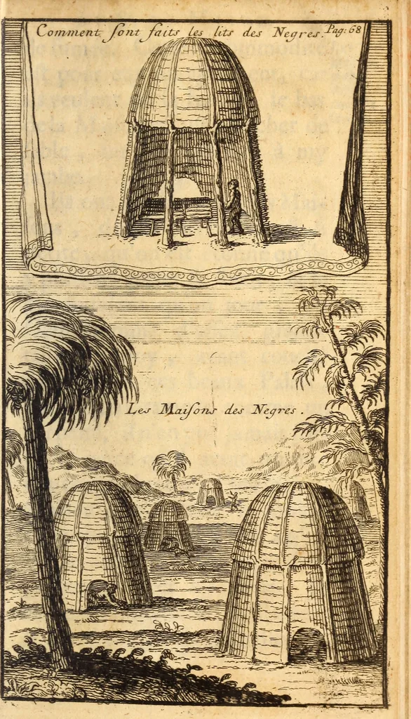 An illustration from Les voyages du sieur Le Maire aux iles Canaries, Cap-Verd, Senegal, et Gambie, 1695, leaf 68