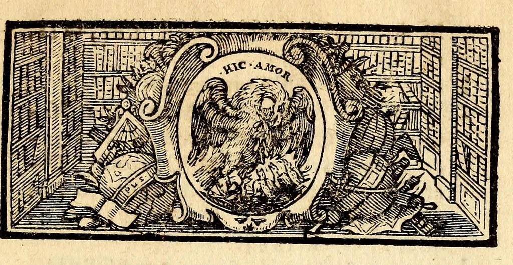 An illustration from Les voyages du sieur Le Maire aux isles Canaries, Cap-Verd, Senegal, et Gambie. : Sous monsieur Dancourt, directeur general de la Compagnie roïale d'Affrique, 1695, leaf 13