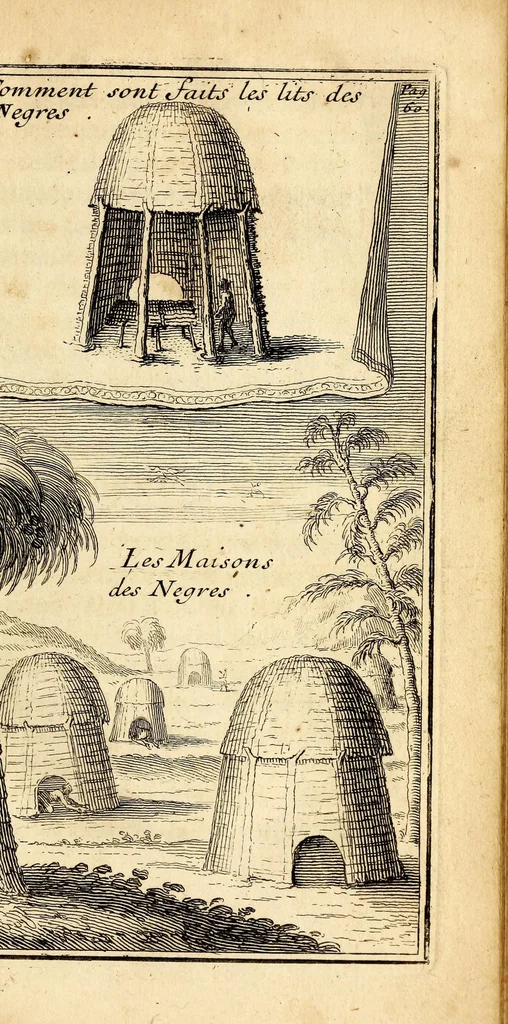An illustration from Les voyages du sieur Le Maire aux isles Canaries, Cap-Verd, Senegal, et Gambie. : Sous monsieur Dancourt, directeur general de la Compagnie roïale d'Affrique, 1695, leaf 79