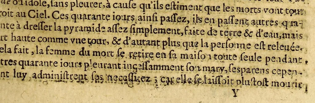 An illustration from Les voyages fameux du sieur Vincent Le Blanc Marseillois, qu'il a faits depuis l'aage de douze ans iusques à soixante, aux quatre parties du monde; a scauoir aux Indes Orientales & Occidentales ..., 1658, leaf 175