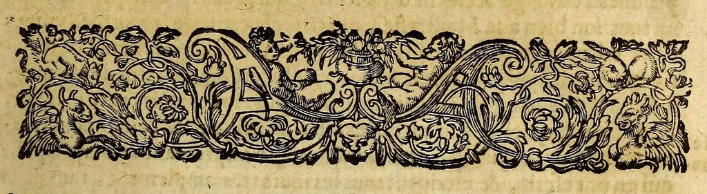 An illustration from Les voyages fameux du sieur Vincent Le Blanc Marseillois, qu'il a faits depuis l'aage de douze ans iusques à soixante, aux quatre parties du monde; a scauoir aux Indes Orientales & Occidentales ..., 1658, leaf 351