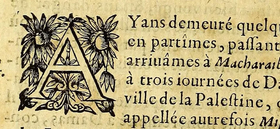 An illustration from Les voyages fameux du sieur Vincent Le Blanc Marseillois, qu'il a faits depuis l'aage de douze ans iusques à soixante, aux quatre parties du monde; a scauoir aux Indes Orientales & Occidentales ..., 1649, leaf 24