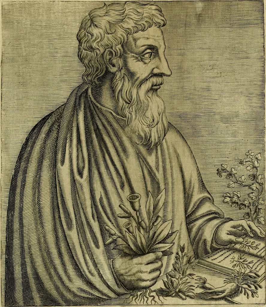 An illustration from Les vrais pourtraits et vies des hommes illustres grecz, latins et payens, 1584, leaf 222