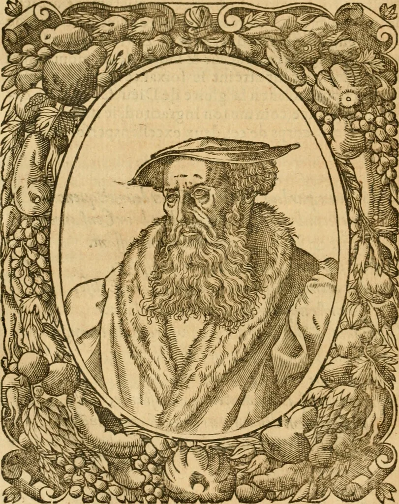 An illustration from Les vrais povrtraits des hommes illvstres en piete et doctrine : dv trauail desquels Diev s'est serui en ces derniers temps, pour remettre sus la vraye Religion en diuers pays de la chrestienté : auec les descriptions de leur vie & de leurs faits plus memorables : plvs, qvaranteqvatre emblemes chrestiens, 1581, leaf 105