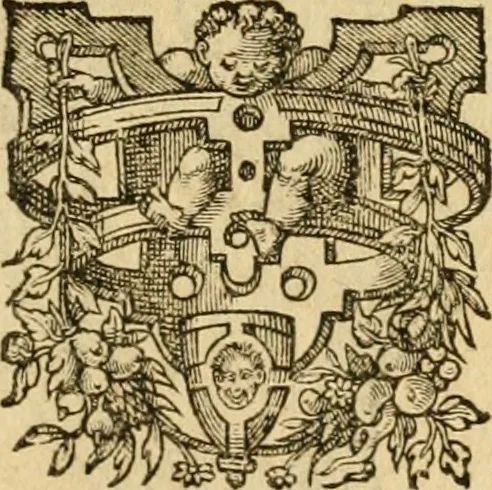 An illustration from Les vrais povrtraits des hommes illvstres en piete et doctrine : dv trauail desquels Diev s'est serui en ces derniers temps, pour remettre sus la vraye Religion en diuers pays de la chrestienté : auec les descriptions de leur vie & de leurs faits plus memorables : plvs, qvaranteqvatre emblemes chrestiens, 1581, leaf 124