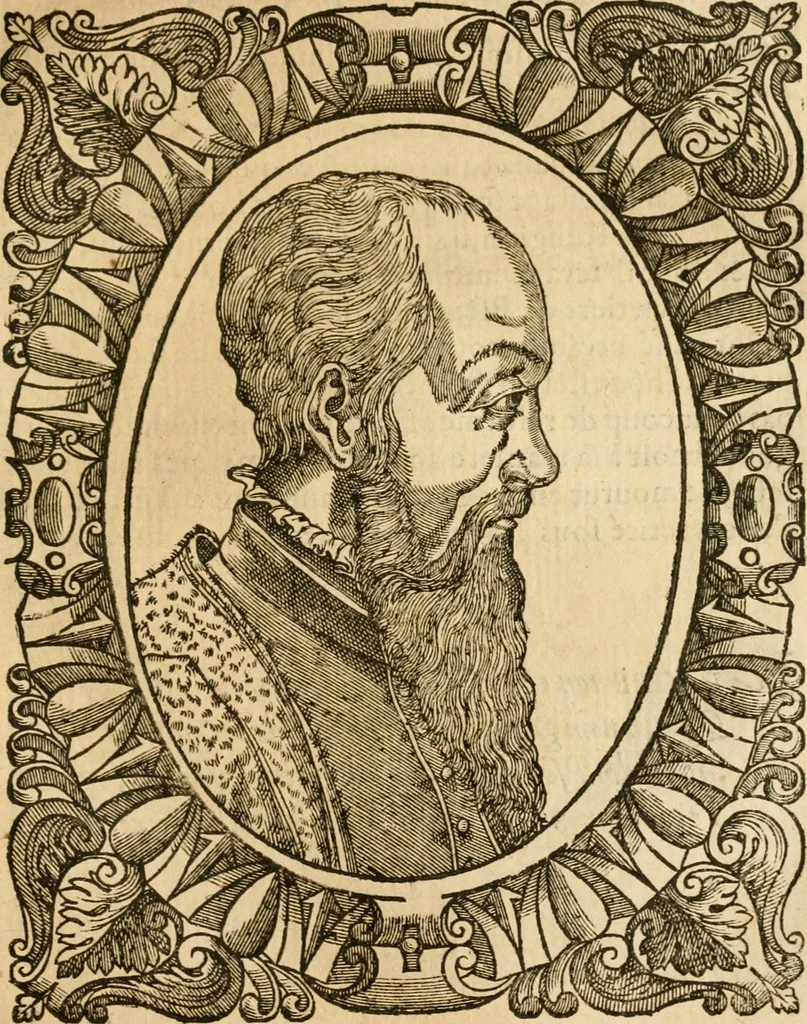 An illustration from Les vrais povrtraits des hommes illvstres en piete et doctrine : dv trauail desquels Diev s'est serui en ces derniers temps, pour remettre sus la vraye Religion en diuers pays de la chrestienté : auec les descriptions de leur vie & de leurs faits plus memorables : plvs, qvaranteqvatre emblemes chrestiens, 1581, leaf 172