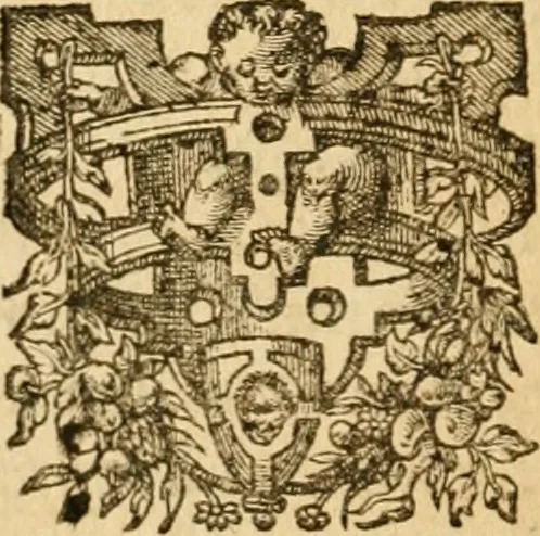 An illustration from Les vrais povrtraits des hommes illvstres en piete et doctrine : dv trauail desquels Diev s'est serui en ces derniers temps, pour remettre sus la vraye Religion en diuers pays de la chrestienté : auec les descriptions de leur vie & de leurs faits plus memorables : plvs, qvaranteqvatre emblemes chrestiens, 1581, leaf 183