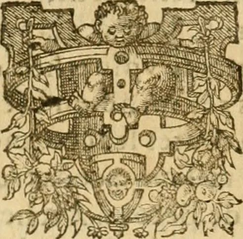 An illustration from Les vrais povrtraits des hommes illvstres en piete et doctrine : dv trauail desquels Diev s'est serui en ces derniers temps, pour remettre sus la vraye Religion en diuers pays de la chrestienté : auec les descriptions de leur vie & de leurs faits plus memorables : plvs, qvaranteqvatre emblemes chrestiens, 1581, leaf 221