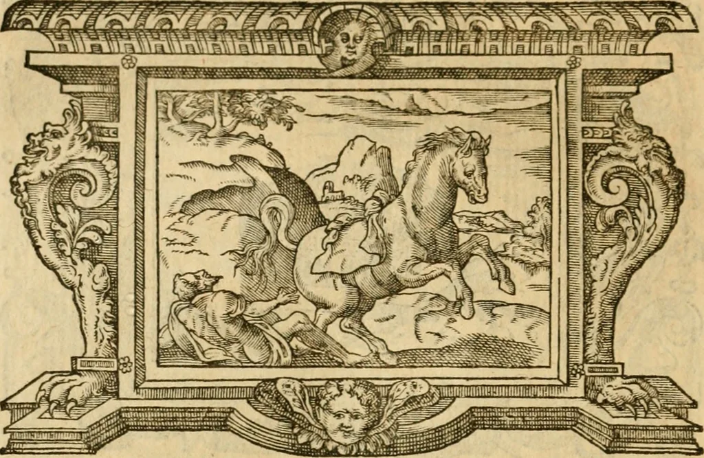 An illustration from Les vrais povrtraits des hommes illvstres en piete et doctrine : dv trauail desquels Diev s'est serui en ces derniers temps, pour remettre sus la vraye Religion en diuers pays de la chrestienté : auec les descriptions de leur vie & de leurs faits plus memorables : plvs, qvaranteqvatre emblemes chrestiens, 1581, leaf 261
