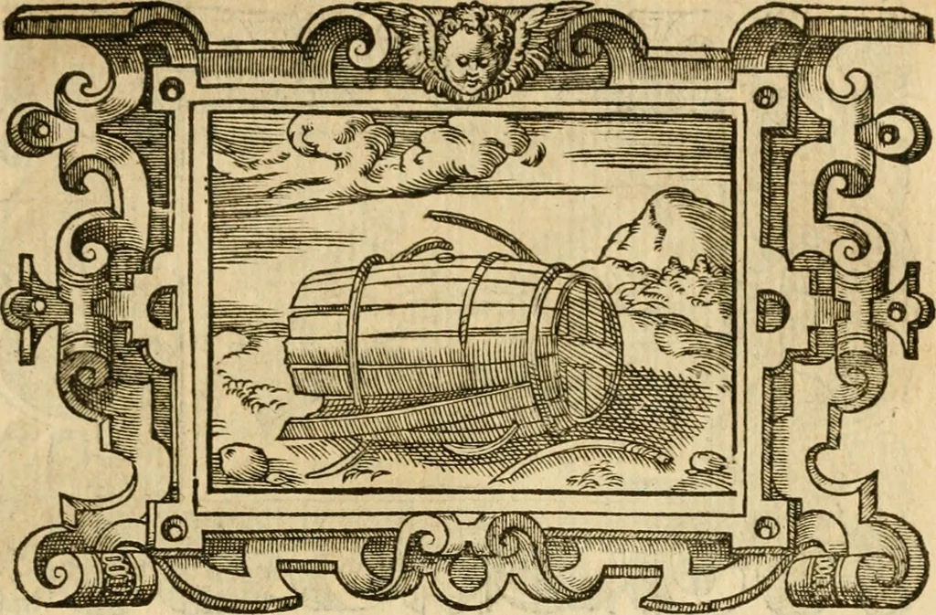 An illustration from Les vrais povrtraits des hommes illvstres en piete et doctrine : dv trauail desquels Diev s'est serui en ces derniers temps, pour remettre sus la vraye Religion en diuers pays de la chrestienté : auec les descriptions de leur vie & de leurs faits plus memorables : plvs, qvaranteqvatre emblemes chrestiens, 1581, leaf 264