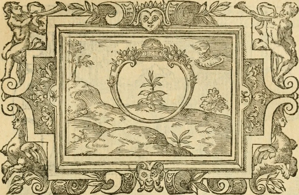 An illustration from Les vrais povrtraits des hommes illvstres en piete et doctrine : dv trauail desquels Diev s'est serui en ces derniers temps, pour remettre sus la vraye Religion en diuers pays de la chrestienté : auec les descriptions de leur vie & de leurs faits plus memorables : plvs, qvaranteqvatre emblemes chrestiens, 1581, leaf 272