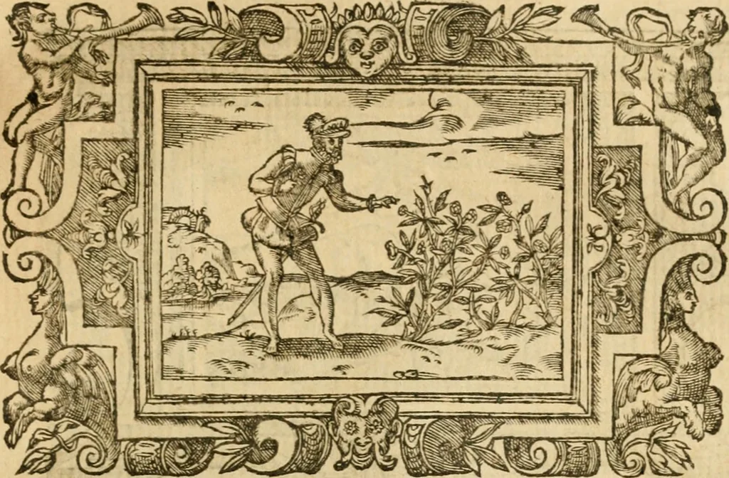An illustration from Les vrais povrtraits des hommes illvstres en piete et doctrine : dv trauail desquels Diev s'est serui en ces derniers temps, pour remettre sus la vraye Religion en diuers pays de la chrestienté : auec les descriptions de leur vie & de leurs faits plus memorables : plvs, qvaranteqvatre emblemes chrestiens, 1581, leaf 284