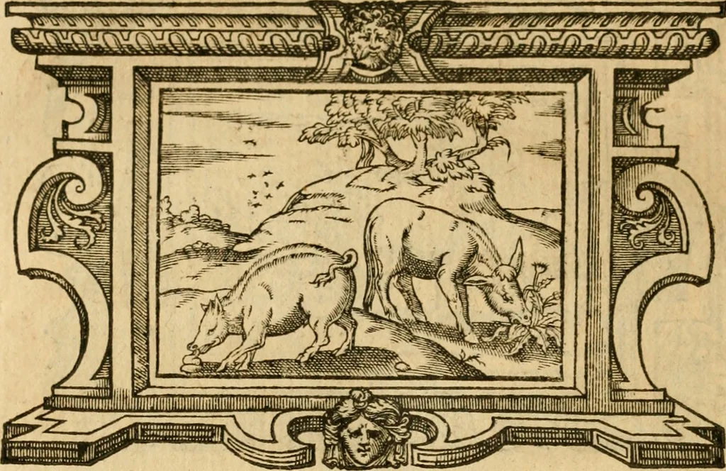 An illustration from Les vrais povrtraits des hommes illvstres en piete et doctrine : dv trauail desquels Diev s'est serui en ces derniers temps, pour remettre sus la vraye Religion en diuers pays de la chrestienté : auec les descriptions de leur vie & de leurs faits plus memorables : plvs, qvaranteqvatre emblemes chrestiens, 1581, leaf 285