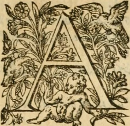 An illustration from Les vrais povrtraits des hommes illvstres en piete et doctrine : dv trauail desquels Diev s'est serui en ces derniers temps, pour remettre sus la vraye Religion en diuers pays de la chrestienté : auec les descriptions de leur vie & de leurs faits plus memorables : plvs, qvaranteqvatre emblemes chrestiens, 1581, leaf 296