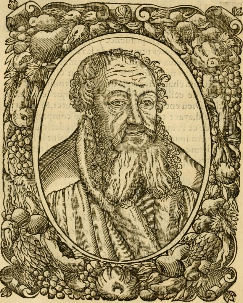 An illustration from Les vrais povrtraits des hommes illvstres en piete et doctrine : dv trauail desquels Diev s'est serui en ces derniers temps, pour remettre sus la vraye Religion en diuers pays de la chrestienté : auec les descriptions de leur vie & de leurs faits plus memorables : plvs, qvaranteqvatre emblemes chrestiens, 1581, leaf 49