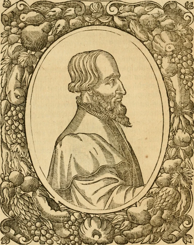 An illustration from Les vrais povrtraits des hommes illvstres en piete et doctrine : dv trauail desquels Diev s'est serui en ces derniers temps, pour remettre sus la vraye Religion en diuers pays de la chrestienté : auec les descriptions de leur vie & de leurs faits plus memorables : plvs, qvaranteqvatre emblemes chrestiens, 1581, leaf 79
