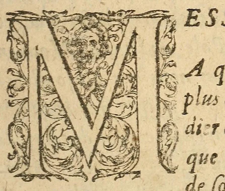 An illustration from Les XVI. propositions de Pierre Bovtiqvier svrnommé Le Pacifique : qu'il soustiendra sur les XVI. articles de la paix, dediées aux XVI. quarteniers de la ville, cité, & Université de Paris, 1614, leaf 5