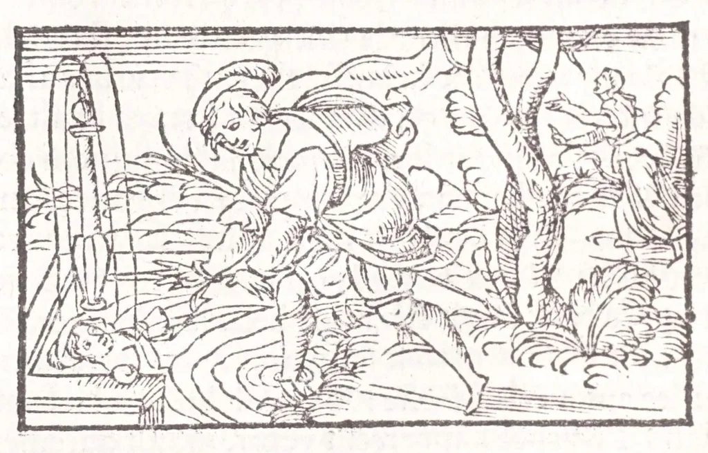 An illustration from Les XV. liures de la Metamorphose d'Ouide (poëte treselegãt) : contenans L'olympe des histoires poëtiques, traduictz de Latin en Francoys : le tout figuré de nouuelles figures & hystoires .., 1539, leaf 118