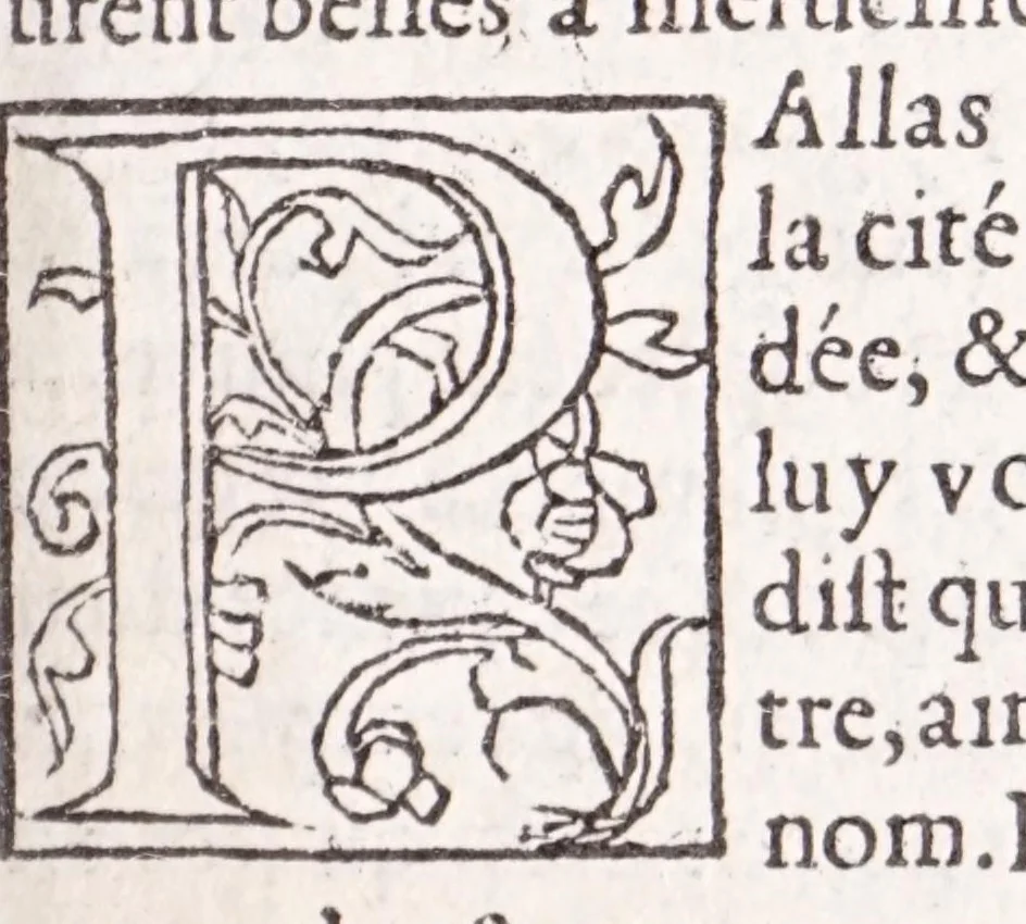 An illustration from Les XV. liures de la Metamorphose d'Ouide (poëte treselegãt) : contenans L'olympe des histoires poëtiques, traduictz de Latin en Francoys : le tout figuré de nouuelles figures & hystoires .., 1539, leaf 185