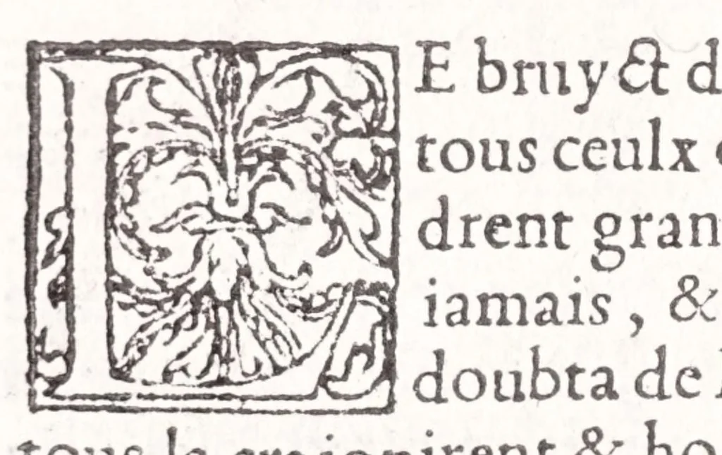An illustration from Les XV. liures de la Metamorphose d'Ouide (poëte treselegãt) : contenans L'olympe des histoires poëtiques, traduictz de Latin en Francoys : le tout figuré de nouuelles figures & hystoires .., 1539, leaf 194