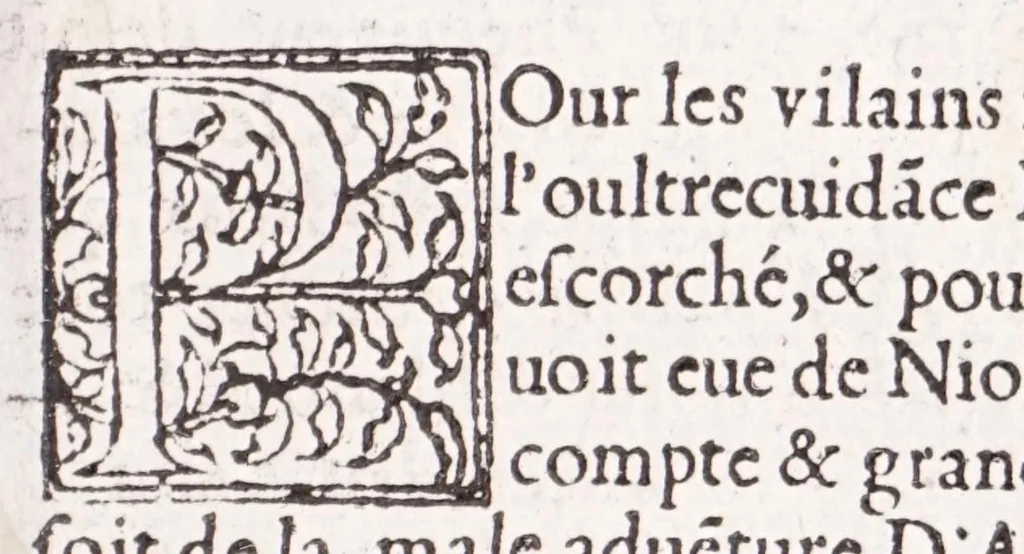 An illustration from Les XV. liures de la Metamorphose d'Ouide (poëte treselegãt) : contenans L'olympe des histoires poëtiques, traduictz de Latin en Francoys : le tout figuré de nouuelles figures & hystoires .., 1539, leaf 199