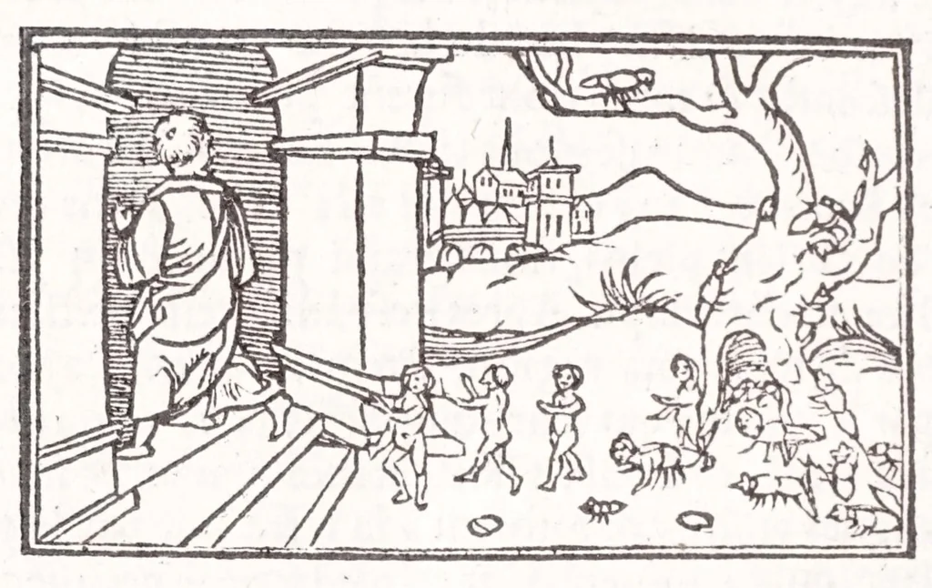 An illustration from Les XV. liures de la Metamorphose d'Ouide (poëte treselegãt) : contenans L'olympe des histoires poëtiques, traduictz de Latin en Francoys : le tout figuré de nouuelles figures & hystoires .., 1539, leaf 248