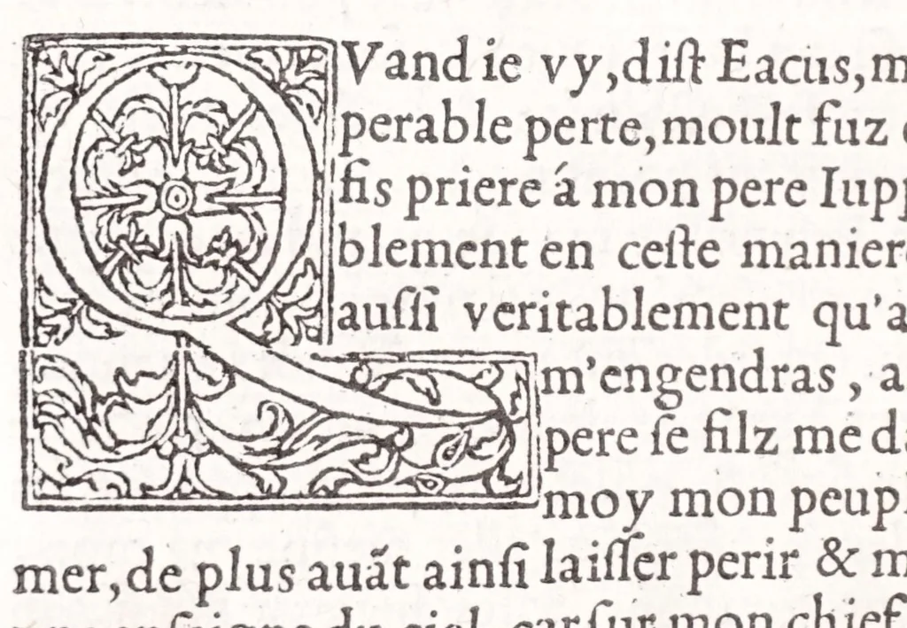 An illustration from Les XV. liures de la Metamorphose d'Ouide (poëte treselegãt) : contenans L'olympe des histoires poëtiques, traduictz de Latin en Francoys : le tout figuré de nouuelles figures & hystoires .., 1539, leaf 248