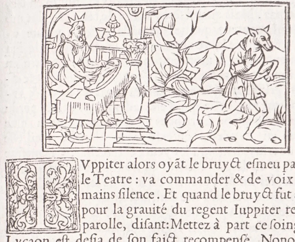 An illustration from Les XV. liures de la Metamorphose d'Ouide (poëte treselegãt) : contenans L'olympe des histoires poëtiques, traduictz de Latin en Francoys : le tout figuré de nouuelles figures & hystoires .., 1539, leaf 25