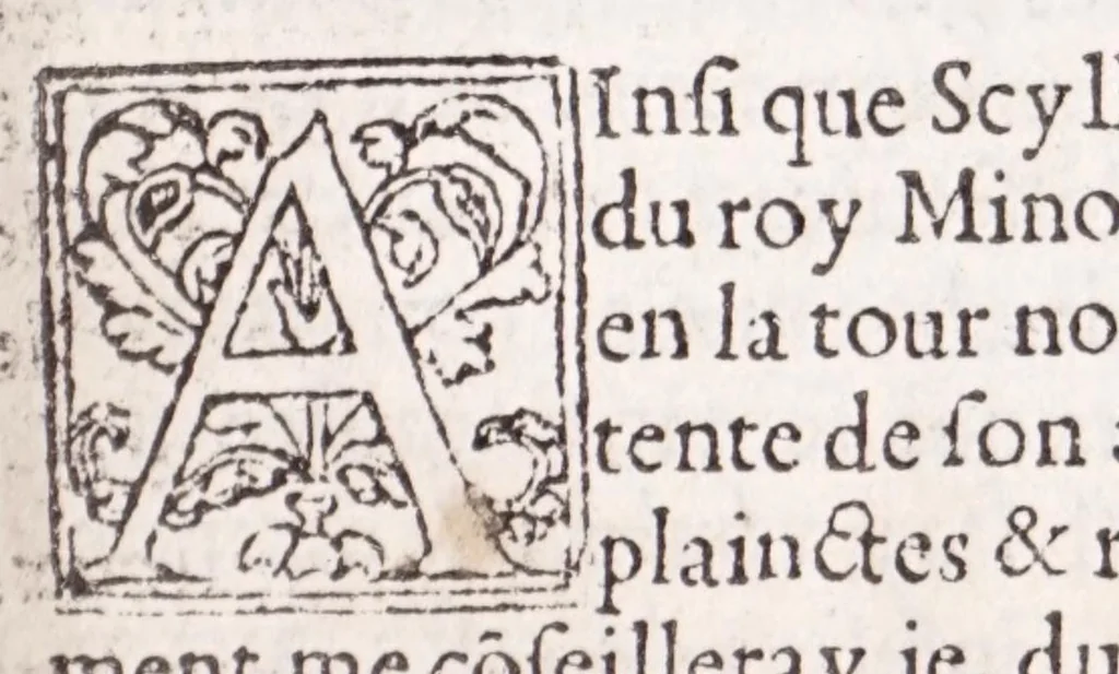 An illustration from Les XV. liures de la Metamorphose d'Ouide (poëte treselegãt) : contenans L'olympe des histoires poëtiques, traduictz de Latin en Francoys : le tout figuré de nouuelles figures & hystoires .., 1539, leaf 259