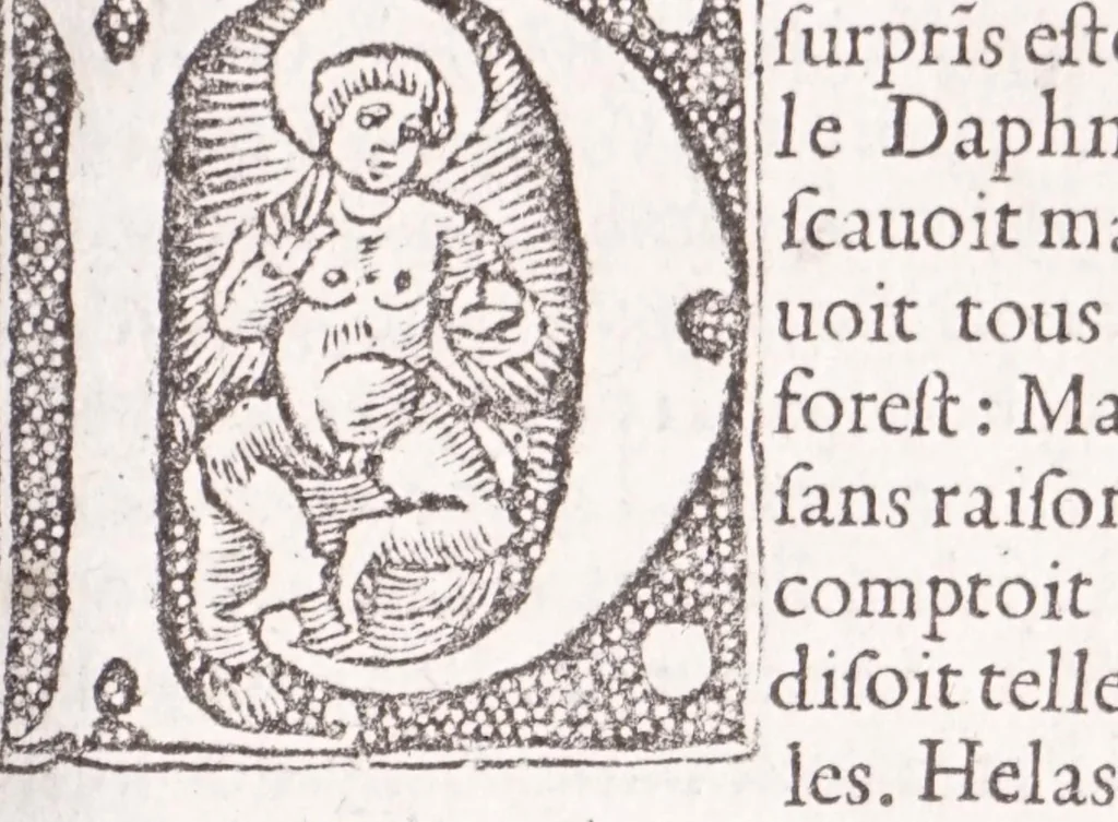 An illustration from Les XV. liures de la Metamorphose d'Ouide (poëte treselegãt) : contenans L'olympe des histoires poëtiques, traduictz de Latin en Francoys : le tout figuré de nouuelles figures & hystoires .., 1539, leaf 33