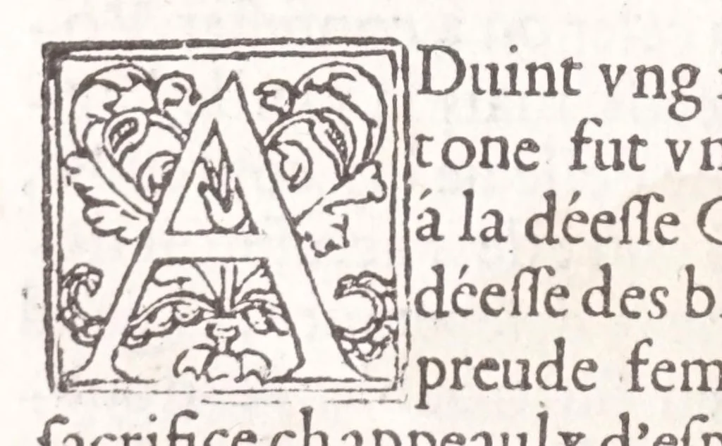 An illustration from Les XV. liures de la Metamorphose d'Ouide (poëte treselegãt) : contenans L'olympe des histoires poëtiques, traduictz de Latin en Francoys : le tout figuré de nouuelles figures & hystoires .., 1539, leaf 364