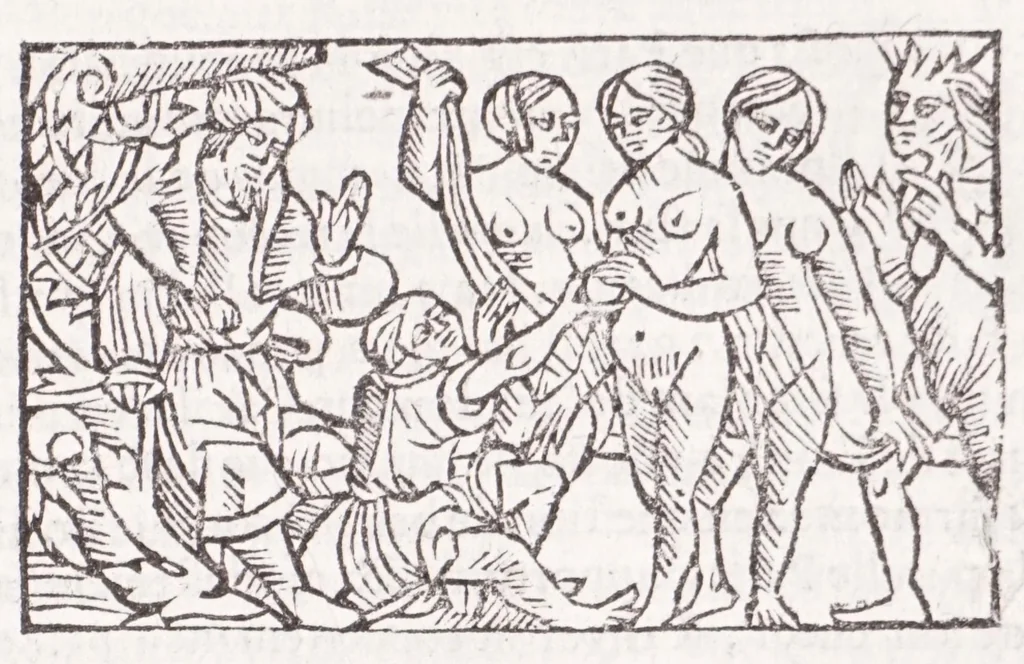 An illustration from Les XV. liures de la Metamorphose d'Ouide (poëte treselegãt) : contenans L'olympe des histoires poëtiques, traduictz de Latin en Francoys : le tout figuré de nouuelles figures & hystoires .., 1539, leaf 421