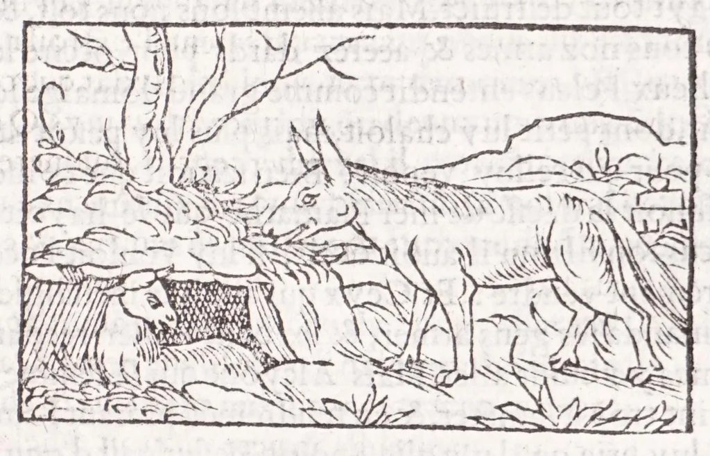 An illustration from Les XV. liures de la Metamorphose d'Ouide (poëte treselegãt) : contenans L'olympe des histoires poëtiques, traduictz de Latin en Francoys : le tout figuré de nouuelles figures & hystoires .., 1539, leaf 431